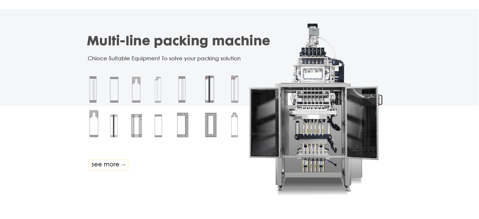 Multi-lane packaging machine